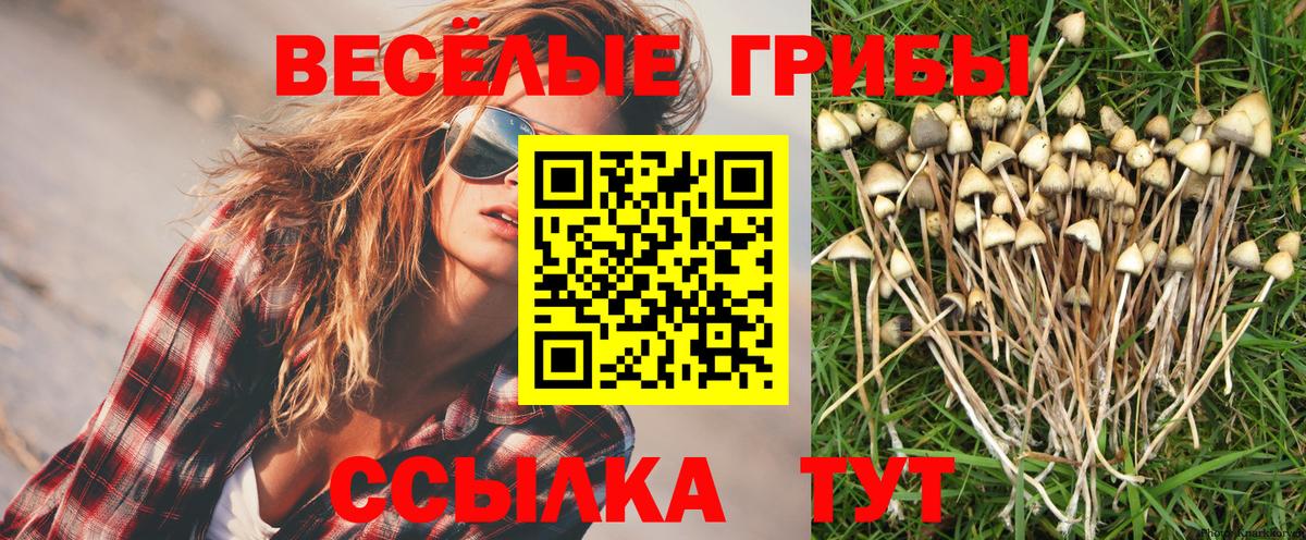 закладки  Галлюциногенные грибы MAGIC MUSHROOMS  Вход с VPN  Скопин 